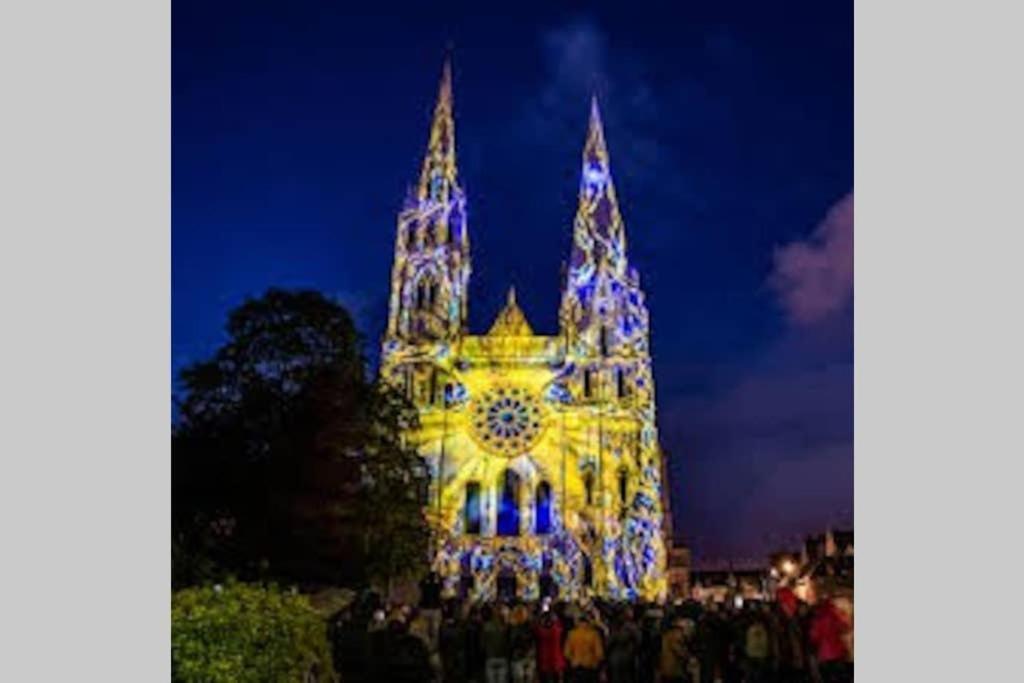 Chartres Coeur De Ville, Beau 2 Pieces Chaleureux Et Lumineux,Parking Et Wifi ! Exteriér fotografie